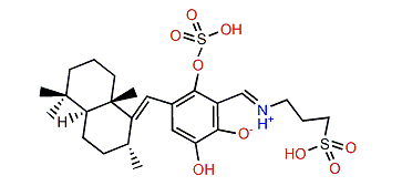 Siphonodictyal B1